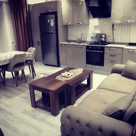 Topkapi Centrum Turizm 伊斯坦布尔